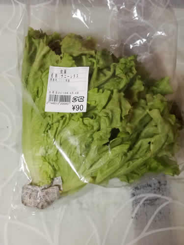 JA直売所のサニーレタス 90円