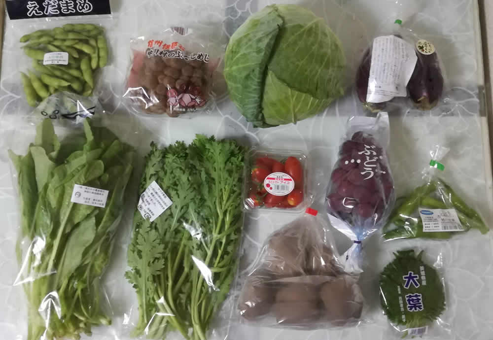 らでぃっしゅぼーやの注文2週目の野菜セット「10選+果物」