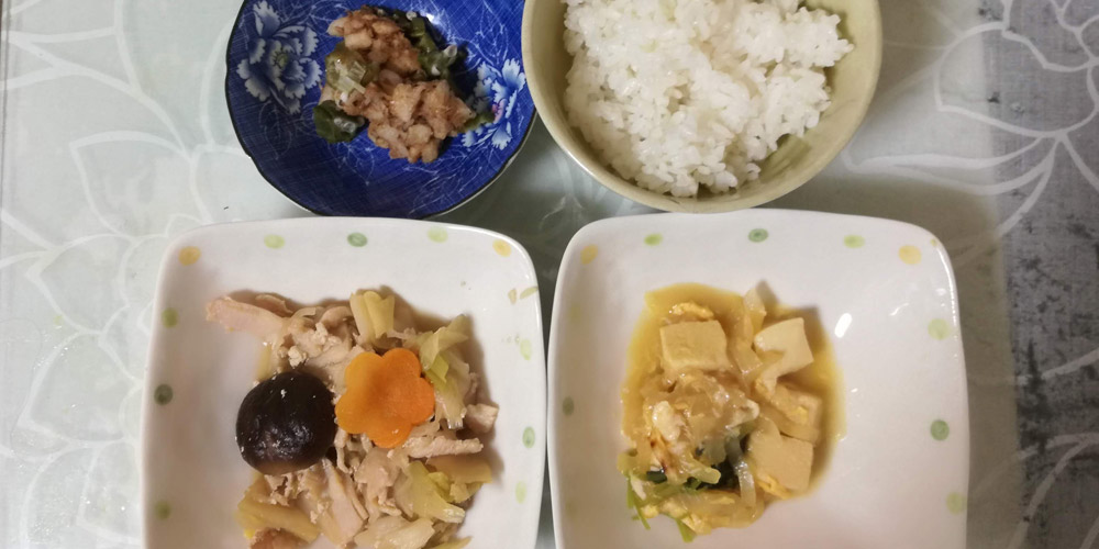 健康三彩の2日目 野菜のうま煮など他2品